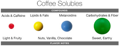 solids in coffe bean cells