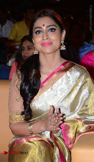 Actress Shriya Saran New Images in Silk Saree at Gautamiputra Satakarni Audio Launch  0021.jpg