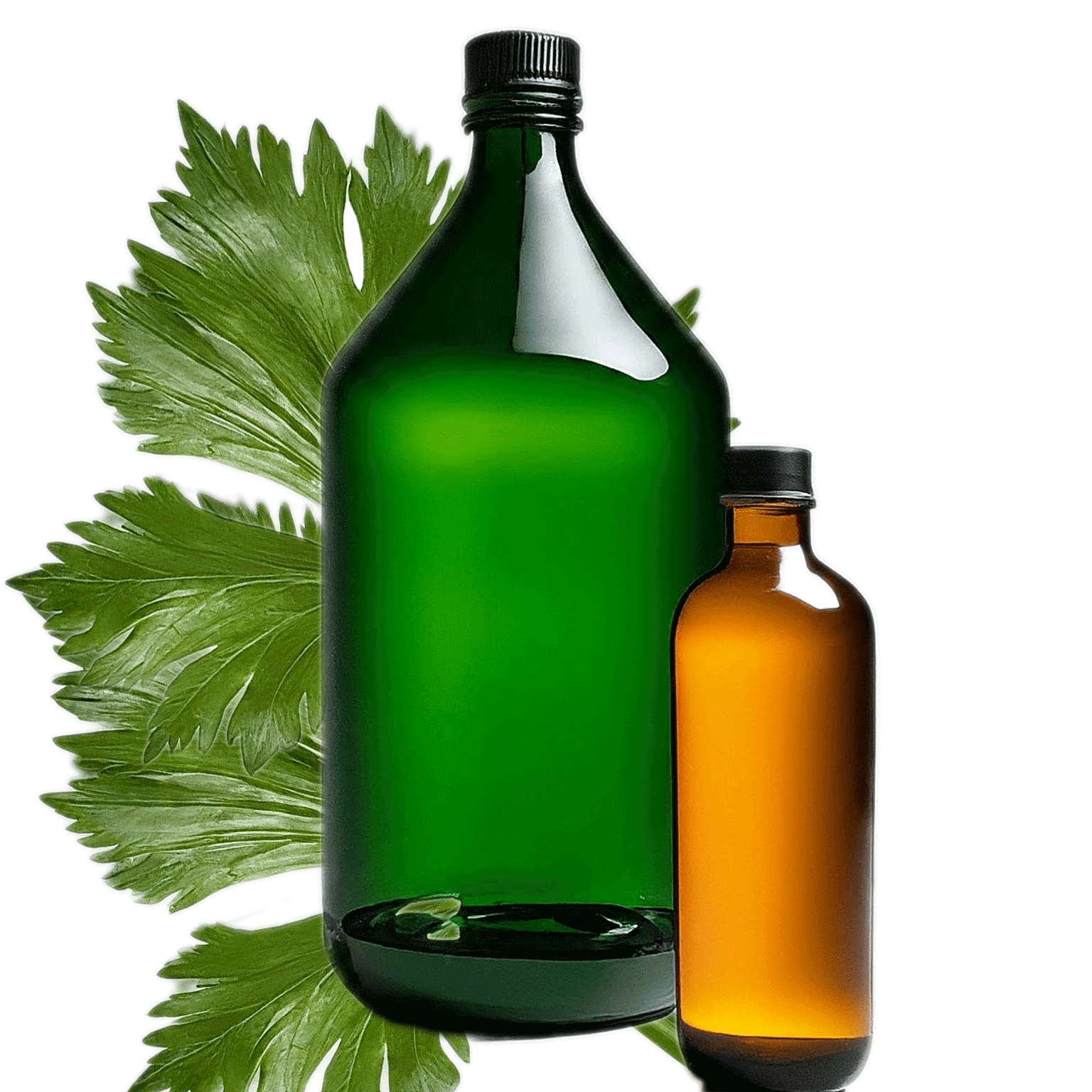 Celery Oil