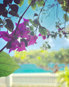 Grand Anse Beach Grenada