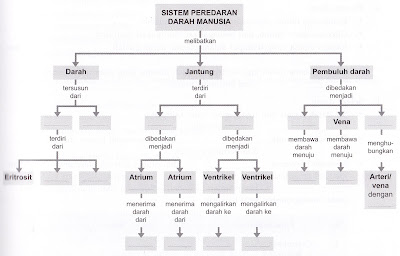 Materi Biology Peta Konsep : Struktur dan Fungsi Tulang, Otot, dan Sendi - Struktur dan Fungsi Sel pada Sistem Peredaran Darah Terlengkap