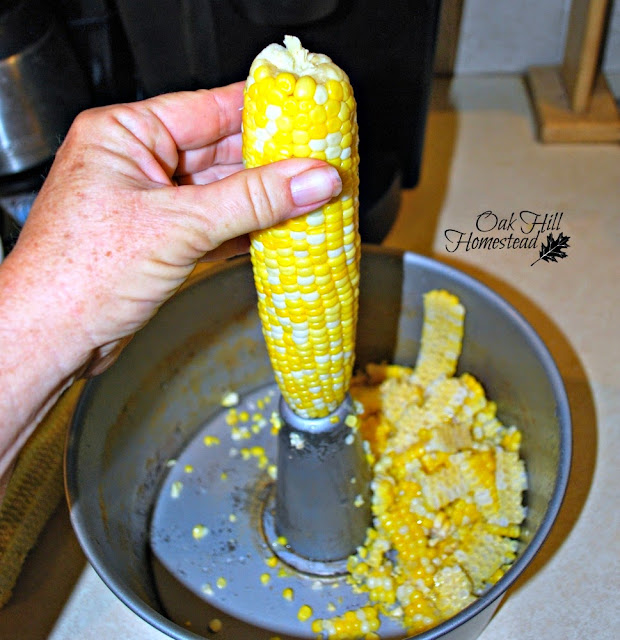 A woman's hand holding an ear of corn in an angel food cake pan, cutting the kernels off the cob.