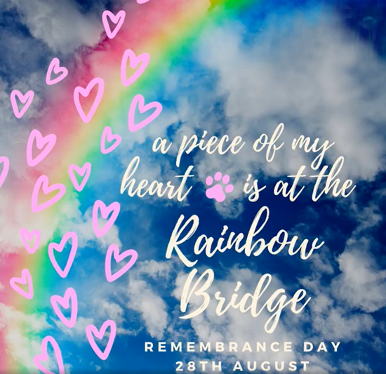 August 28 • Rainbow Bridge Remembrance Day (3)