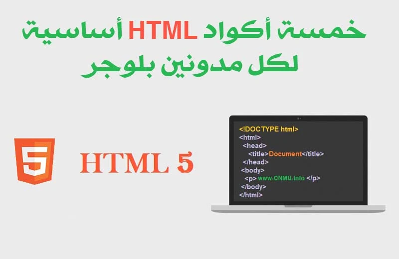 HTML Basics