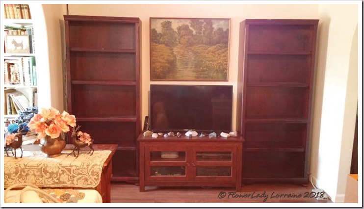 10-25-bookcases