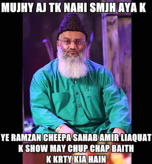 funny pics - amir liaquat show