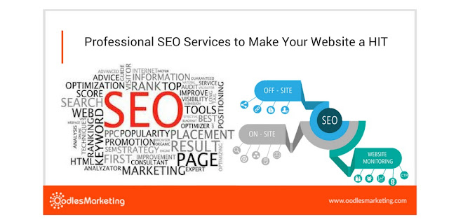 Professional SEO Services