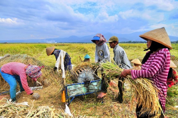 Mesin Perontok Padi Dari yang Jadul ke yang Paling Canggih