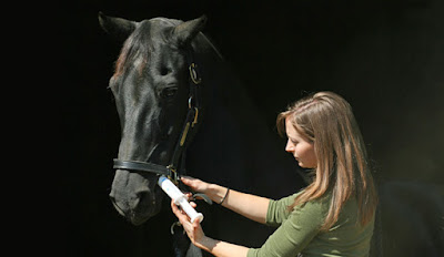 Steps to De-worm the Horse Using Paste Form of Treatment