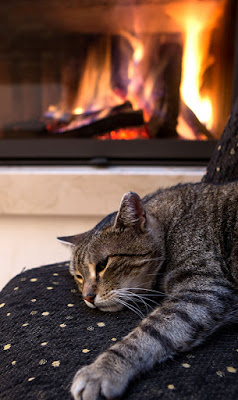 Stock photo of gray tabby cat lying near a fireplace