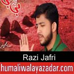 https://humaliwalaazadar.blogspot.com/2019/09/razi-jafri-nohay-2020.html