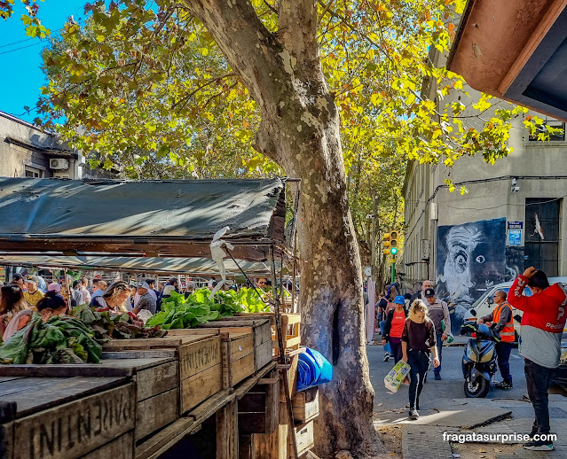 Feira de Tristán Narvaja, Montevidéu, Uruguai