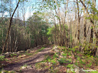 Subida a las cascadas de arriba