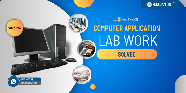 +2 computer application lab work