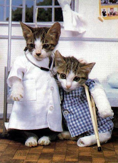 cat like a doctor