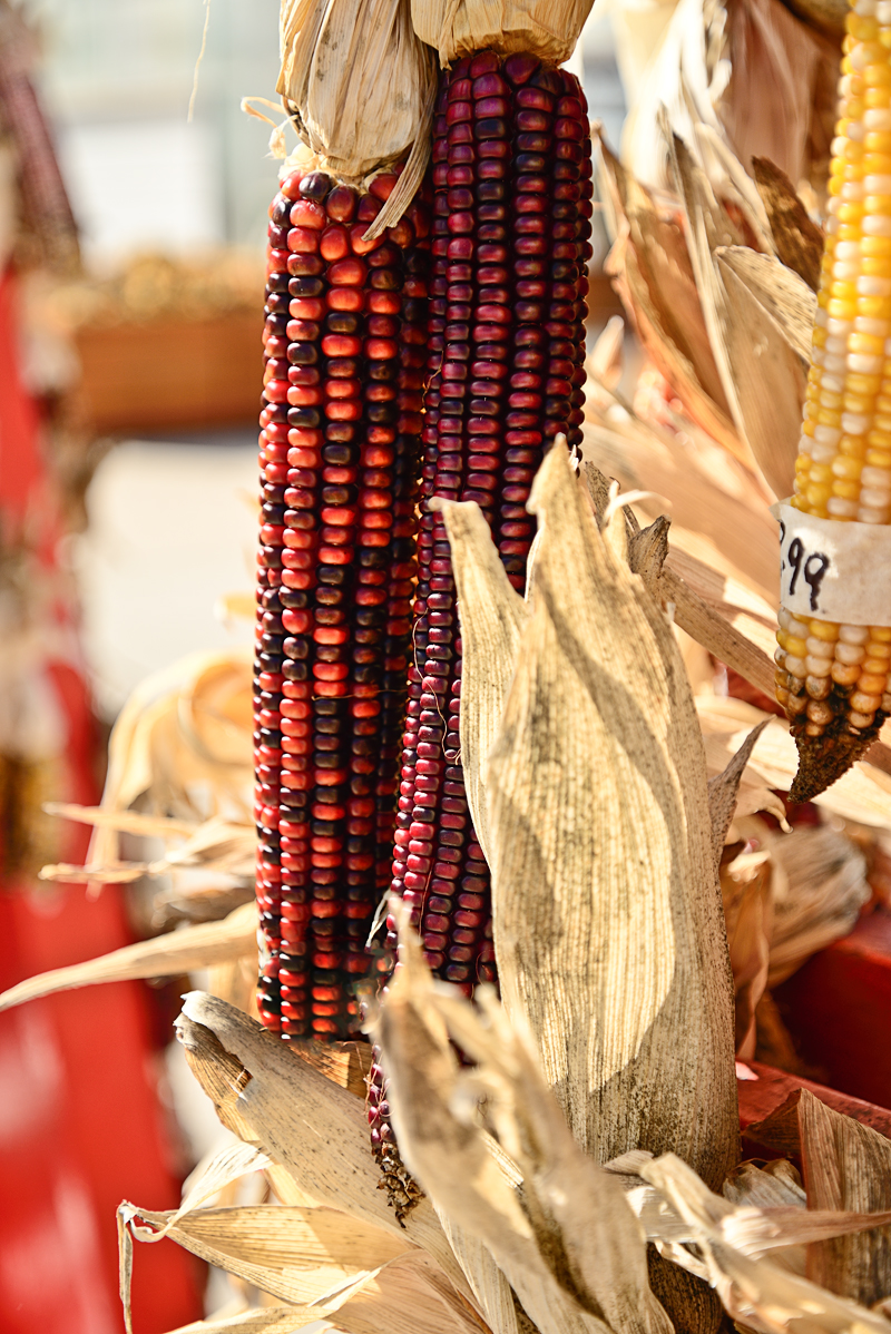 #Corn #Pumpkin #Fall #FoodPhotography #SimiJoisPhotography 