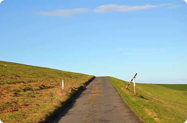 Spaziergang durch Wremen 241113 (43)