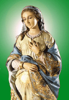 VIRGEN~1