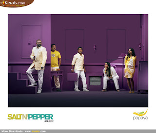 Malayalam Movie Salt N Pepper