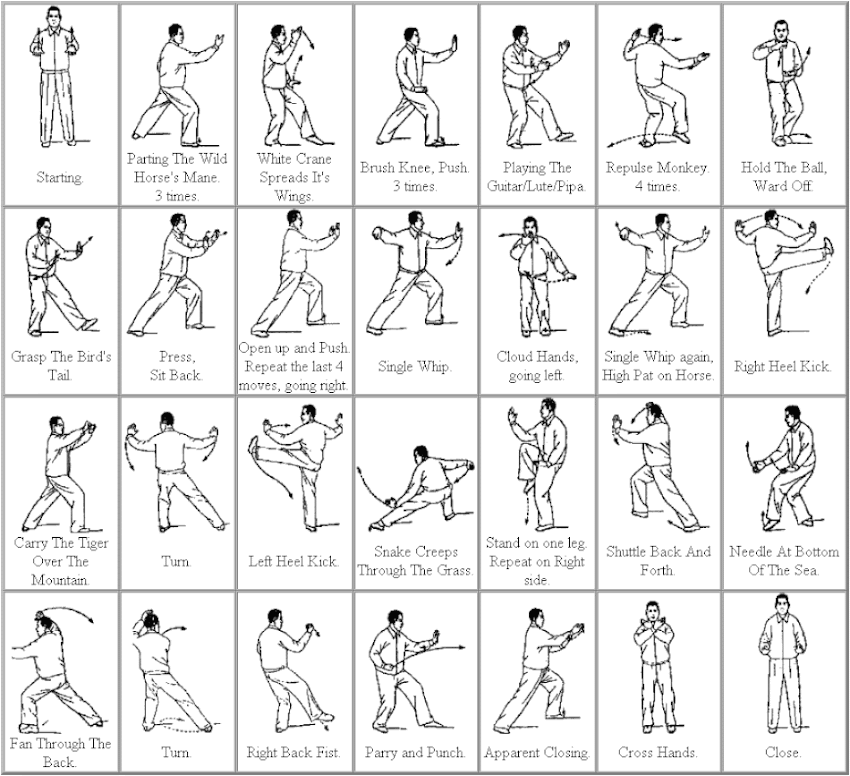 Tai Chi: estilos, movimientos y cómo practicar