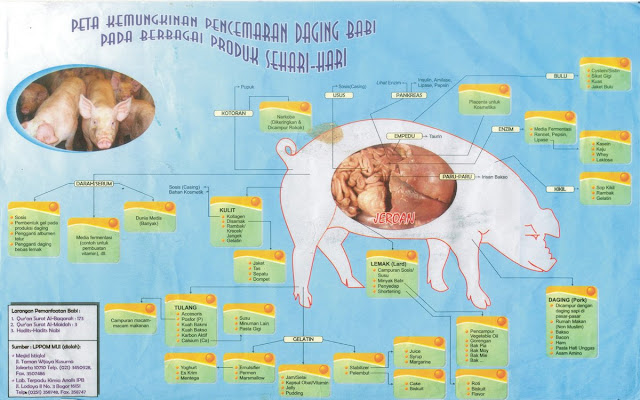 Peta Pencemaran Babi