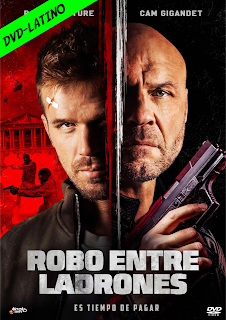 ROBO ENTRE LADRONES – BLOWBACK – DVD-5 – DUAL LATINO – 2022 – (VIP)