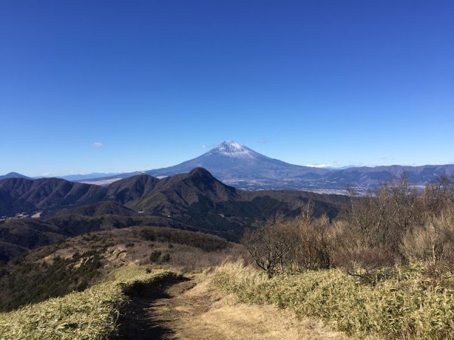 富士山と金時山