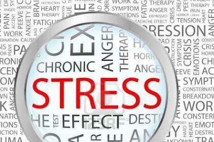 Biological Psychology Stress ppt download