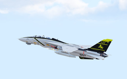 Arma3用F-14 Tomcat MODのVF-213 Black Lionスキン