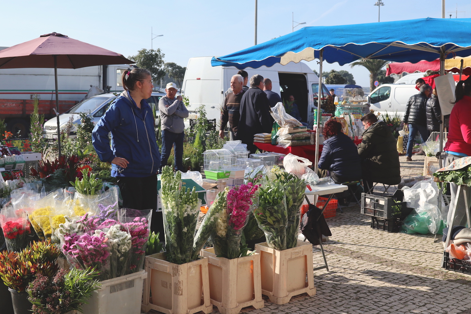 saturday market portugal