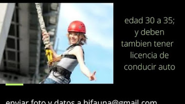 CASTING en BS AS: Se buscan CHICAS que puedan saltar con arnés para importante publicidad