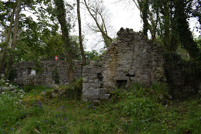 Saint Fortchern's Well and Oratory