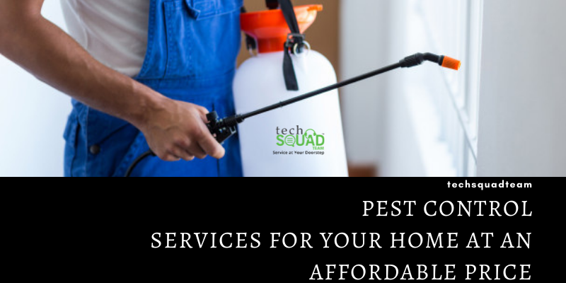 pest control services in Electronic City, Bangalore.