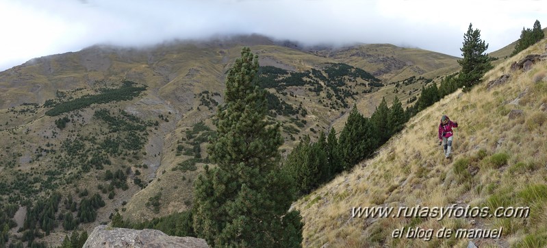 Cerrillo Redondo - Pico Tajo de los Machos desde Puente Palo