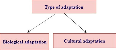 Types of human ecological adaptation