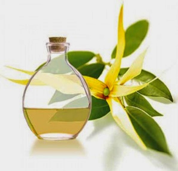 aceite-esencial-de-ylang-ylang