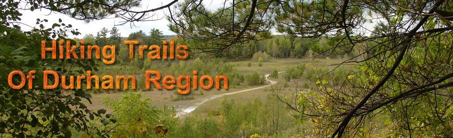 Hiking Trails Of Durham Region