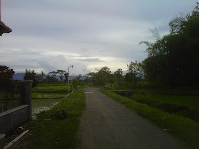 +Foto gambar sungai di area pesawahan desa