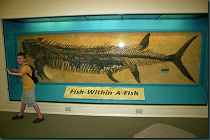 fish-within-fish
