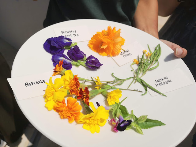 edible flowers