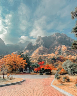 Sit Relaxing In Seoraksan National Park, South Korea