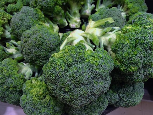 broccoli sprouts close up