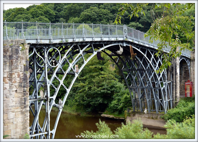 The B Team's Iron Bridge Gorge Selfie ©BionicBasil® The Sunday Selfies Blog Hop and Smooch's UK Historical Travel Guide