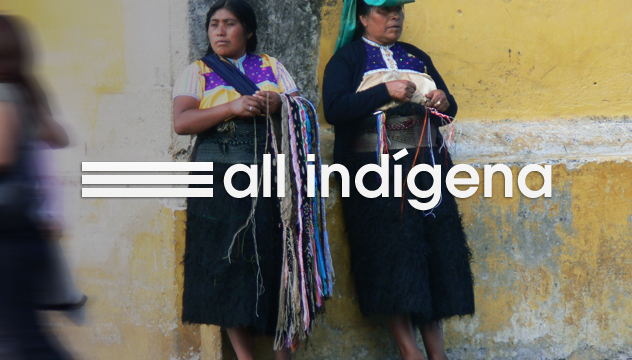 mujeres indigenas de chiapas blogamia indigenismo