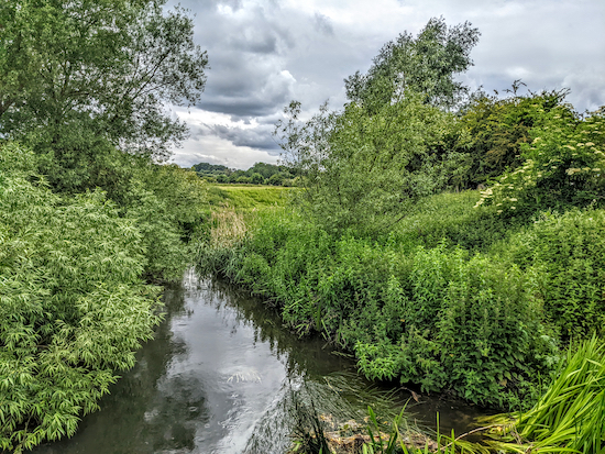 The River Lea from the footbridge at point 3