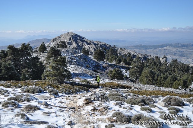 Subida al Torrecilla (II)