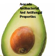  Amazing health benefits of Avocado Butter Fruit Makhanphal - Avocado Antibacterial And Antifungal Properties