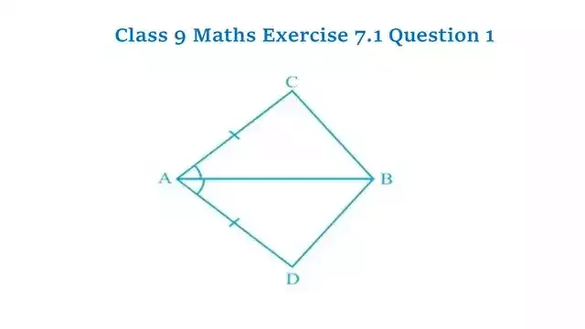 Class 9 Maths Chapter 7 Exercise 7.1 Question 1