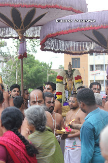 Kodai UTsavam,Thiruvallikeni, Sri PArthasarathy Perumal, Temple, 2017, Video, Divya Prabhandam,Utsavam,