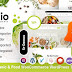 Foodelio Organic & Food WooCommerce Multivendor WordPress Theme Review